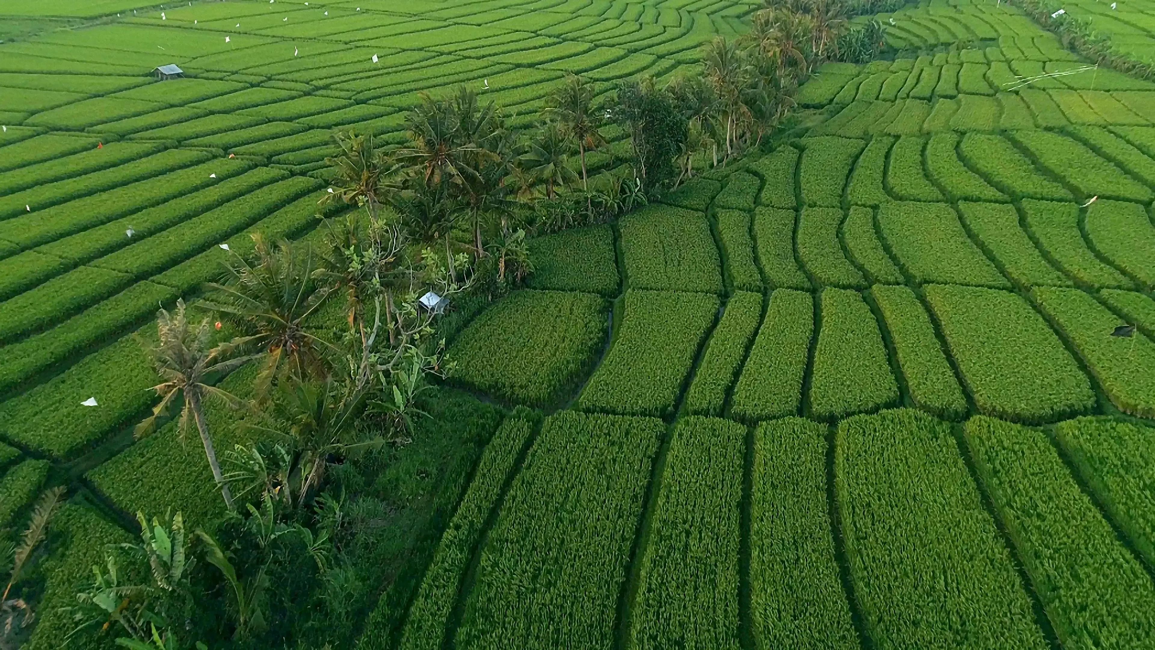 Farmland